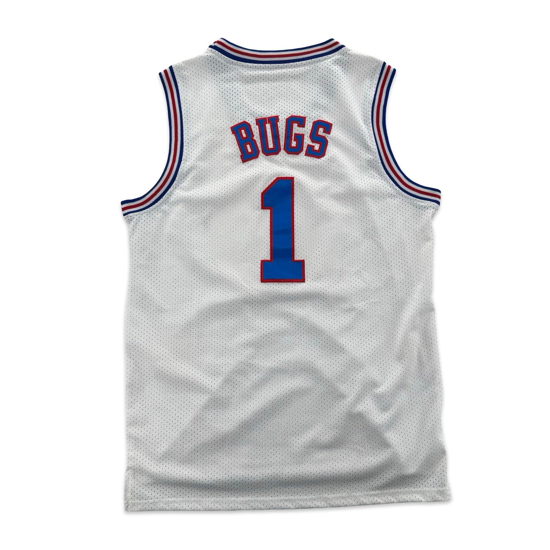 Vintage Tune Squad Basketball Jersey (L)