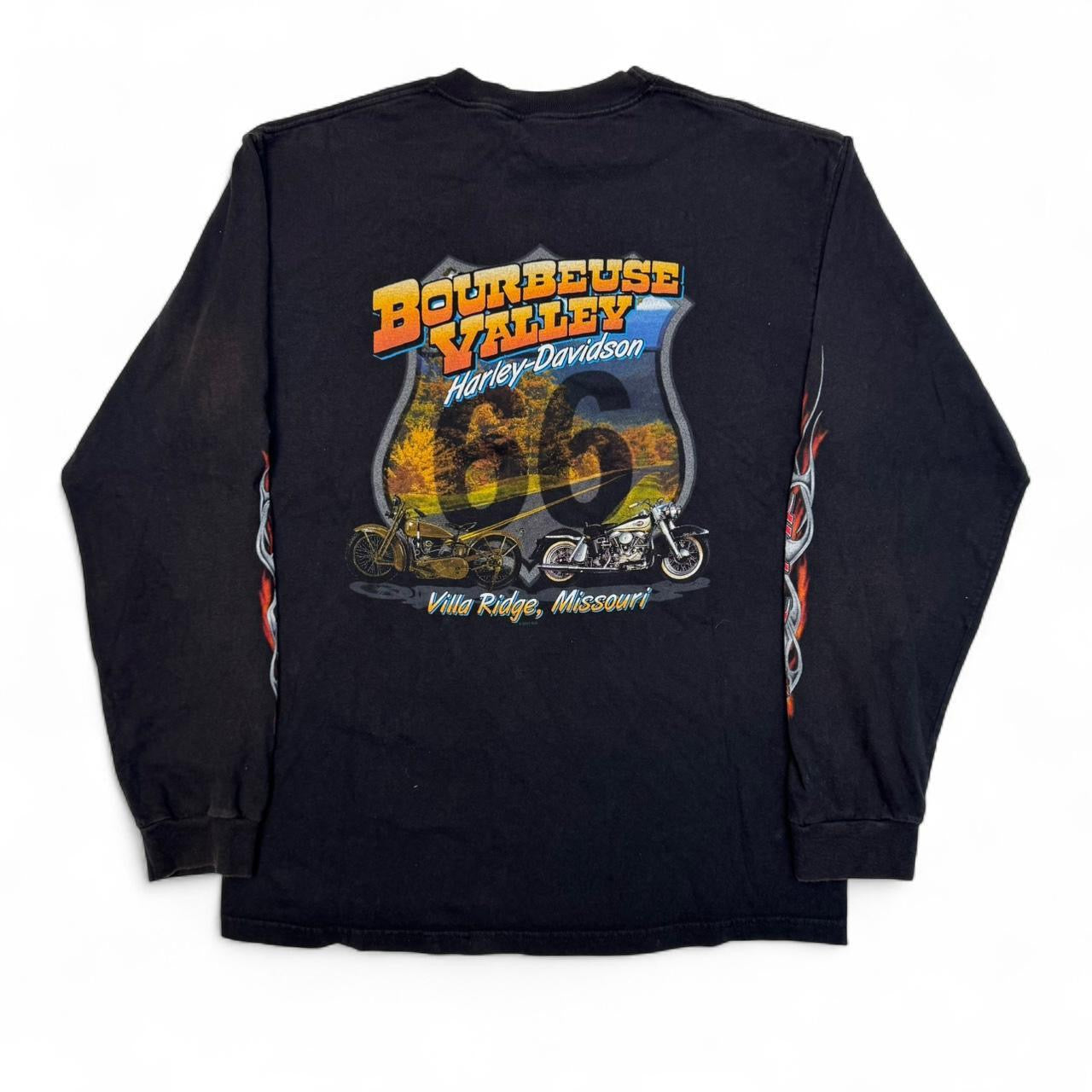 2007 Harley Davidson Grunge Flame Sleeve Tee (L)