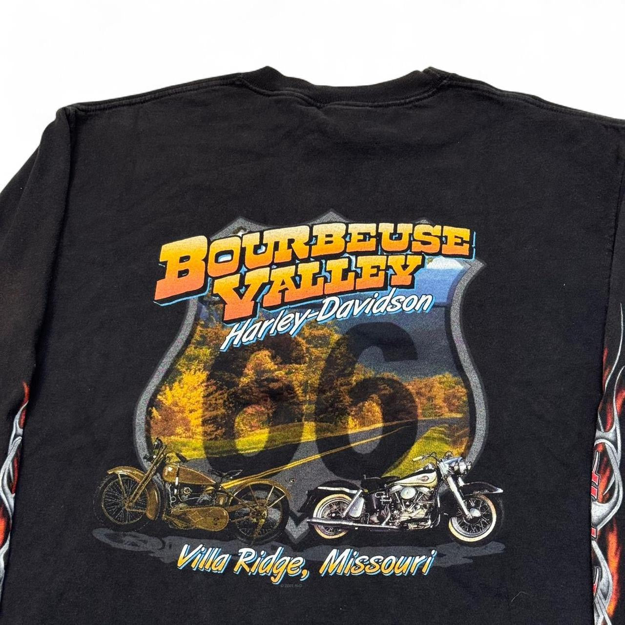 2007 Harley Davidson Grunge Flame Sleeve Tee (L)