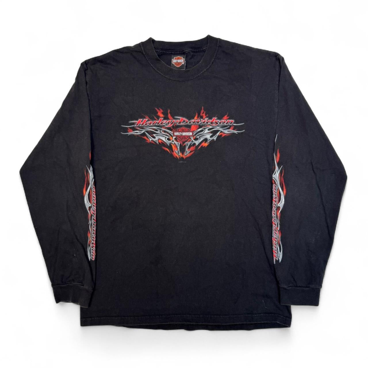 2007 Harley Davidson Grunge Flame Sleeve Tee (L)